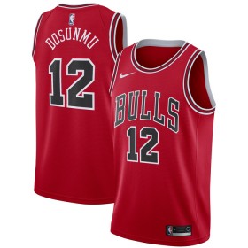 Dres Chicago Bulls Ayo Dosunmu 12 Nike 2022-23 Icon Edition Crvena Swingman